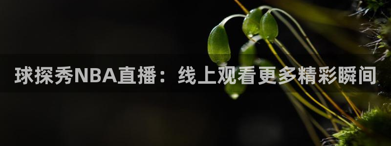 球探秀NBA直播：线上观看更多精彩瞬间