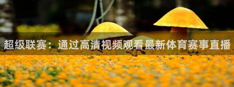 超级联赛：通过高清视频观看最新体育赛事直播