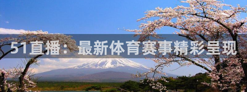 51直播：最新体育赛事精彩呈现