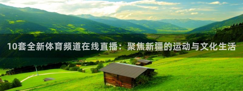10套全新体育频道在线直播：聚焦新疆的运动与文化生活