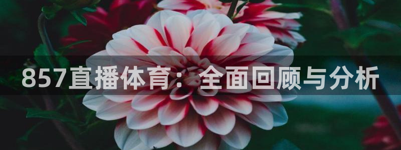 857直播体育：全面回顾与分析