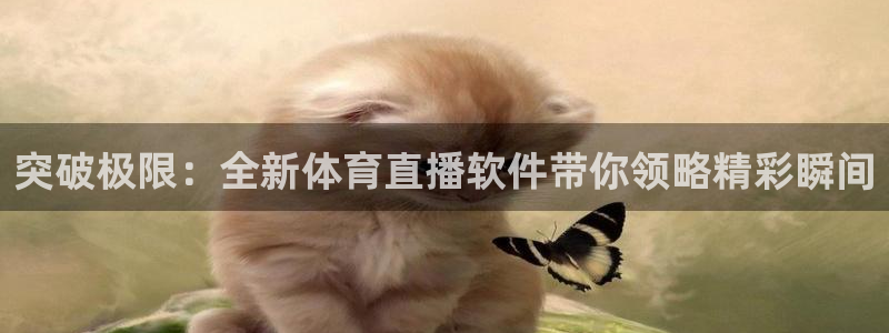 突破极限：全新体育直播软件带你领略精彩瞬间