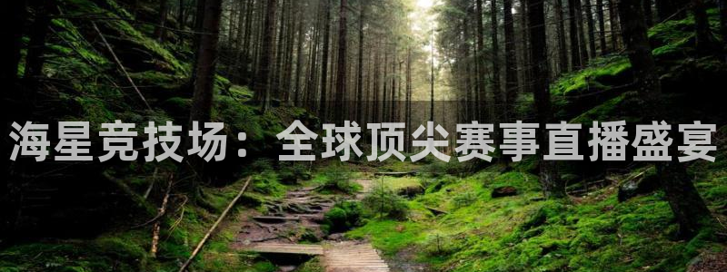 海星竞技场：全球顶尖赛事直播盛宴