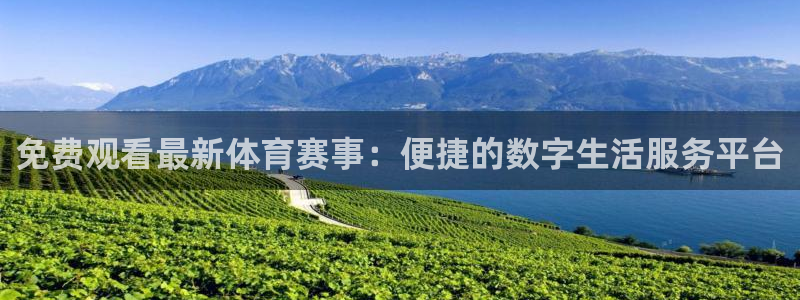 免费观看最新体育赛事：便捷的数字生活服务平台