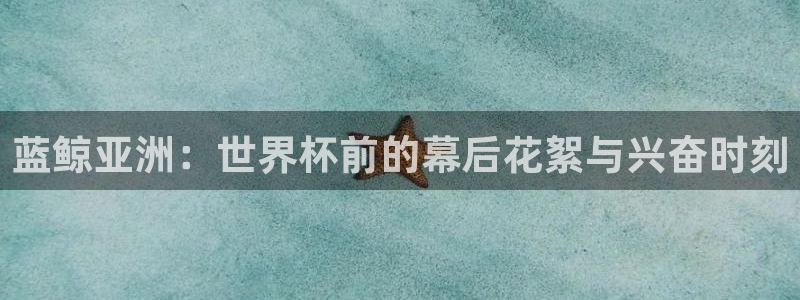 蓝鲸亚洲：世界杯前的幕后花絮与兴奋时刻