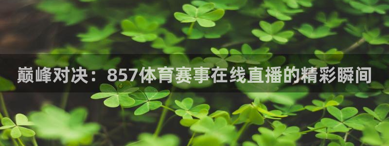 巅峰对决：857体育赛事在线直播的精彩瞬间