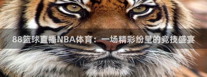 88篮球直播NBA体育：一场精彩纷呈的竞技盛宴