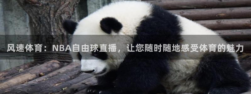 风速体育：NBA自由球直播，让您随时随地感受体育的魅力