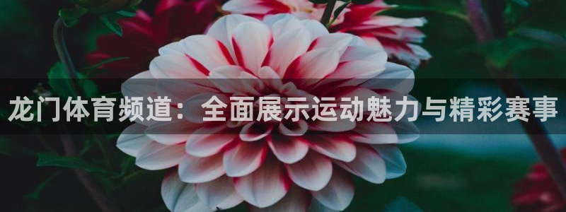 龙门体育频道：全面展示运动魅力与精彩赛事