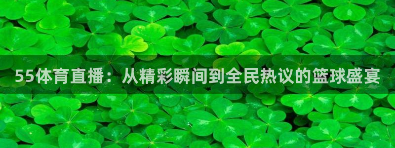 55体育直播：从精彩瞬间到全民热议的篮球盛宴