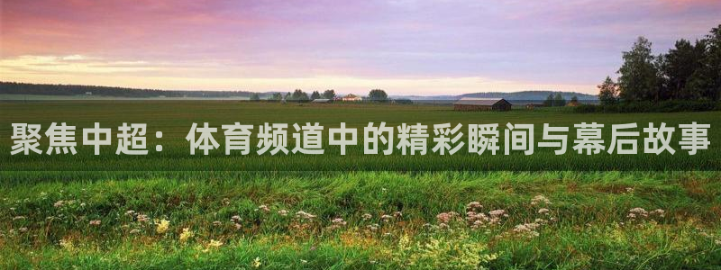 聚焦中超：体育频道中的精彩瞬间与幕后故事