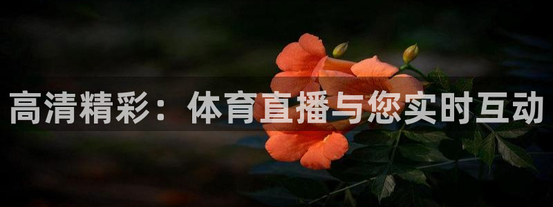 高清精彩：体育直播与您实时互动